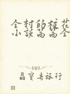全村的校花妹妹小说茜茜全文阅读