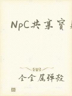 NpC共享宝贝