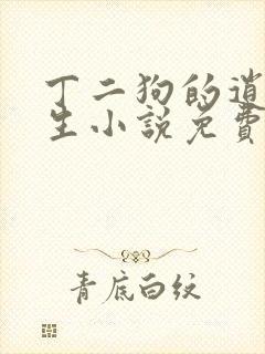 丁二狗的逍遥人生小说免费读