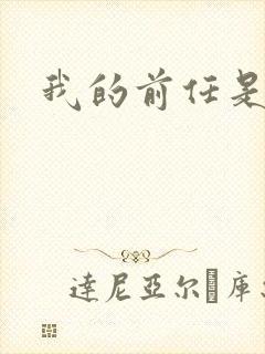 我的前任是极品