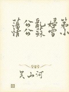 荡公乱妇第1章情公苏雪小说
