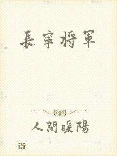 长宁将军封面