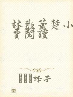 林欢萧楚小说免费阅读封面