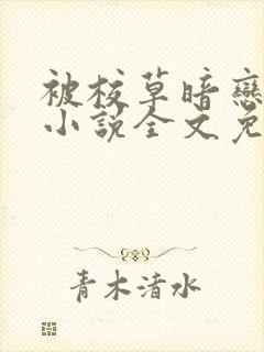 被校草暗恋之后小说全文免费阅读