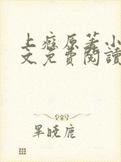 上瘾原著小说全文免费阅读