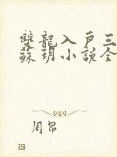 双龙入户三人行苏玥小说全文阅读