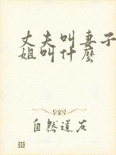丈夫叫妻子的姐姐叫什么