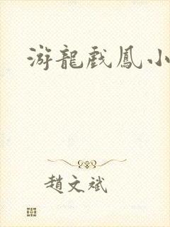 游龙戏凤小说封面