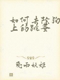 如何去除狗狗身上的跳蚤