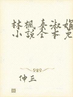 林枫秦淑娟穿越小说全本免费阅读封面