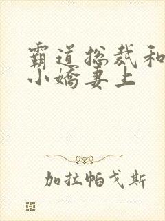 霸道总裁和他的小娇妻上