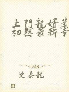 上门龙婿叶辰萧初然最新章节全文免费阅读