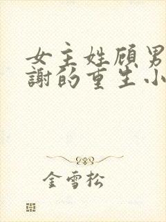 女主姓顾男主姓谢的重生小说封面