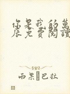 你是我的万千星辰免费阅读全文