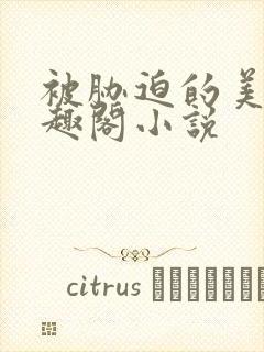 被胁迫的美人笔趣阁小说