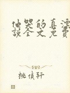 他哭的真漂亮小说全文免费阅读