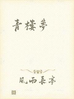 青楼梦封面