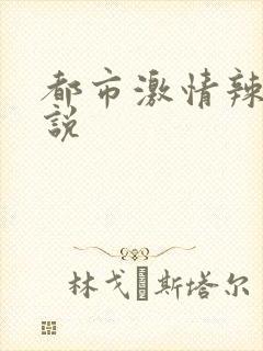 都市激情辣文小说