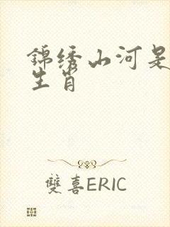 锦绣山河是什么生肖封面