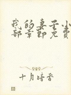 我的妻子小静全部章节免费阅读