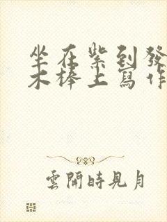 坐在紫到发黑的木棒上写作业
