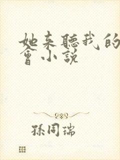她来听我的演唱会小说封面