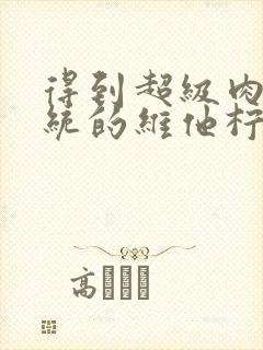 得到超级肉禽系统的维他柠檬茶