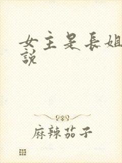 女主是长姐的小说