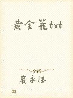 黄金笼txt