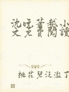 沈晚萧越小说全文免费阅读