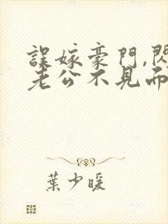 误嫁豪门,闪婚老公不见面阅读全文全文封面