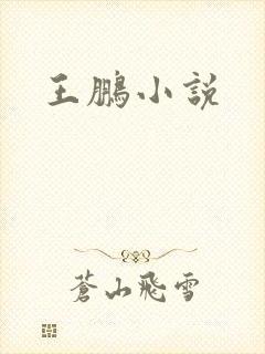 王鹏小说封面