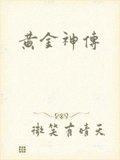 黄金神传封面