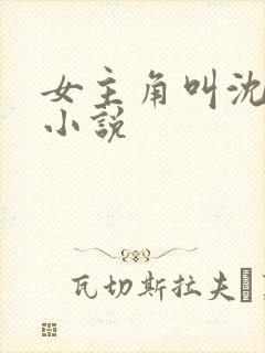 女主角叫沈柔的小说