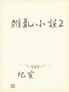 杂乱小说2