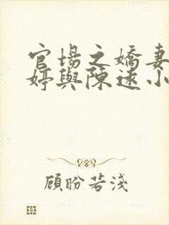 官场之娇妻杨雨婷与陈远小说封面