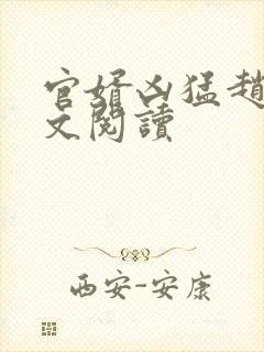 官婿凶猛赵阳全文阅读
