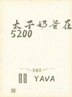 太子奶爸在花都5200封面