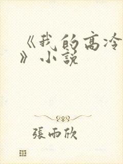《我的高冷女神》小说封面