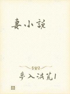 妻小说
