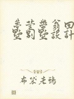 梦莹带翁回乡别墅别墅设计