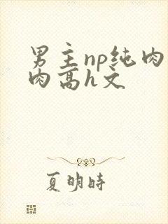 男主np纯肉巨肉高h文