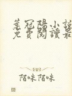 叶冠阳小说全文免费阅读最新章节