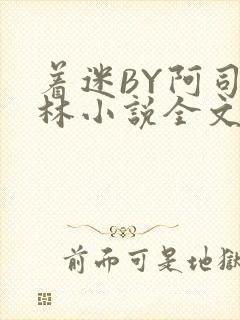 着迷BY阿司匹林小说全文免费阅读