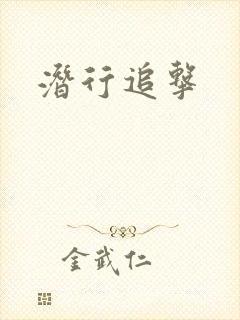 潜行追击