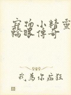 宠物小精灵之写轮眼传奇