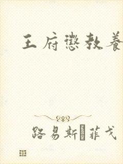 王府惩教养日常