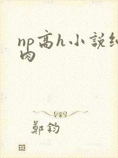 np高h小说纯肉封面