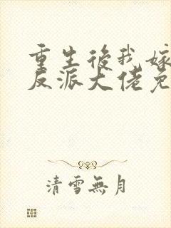 重生后我嫁给了反派大佬免费阅读封面