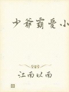 少爷霸爱小丫头封面